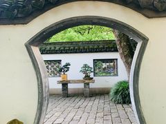 -上海醉白池公园