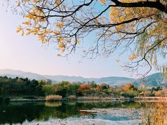 -国家植物园南园