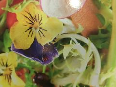 紫光大拌菜-紫光园(顺义店)