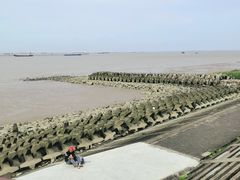 -上海滨江森林公园