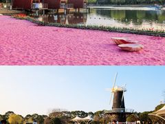 -上海鲜花港