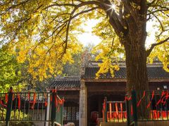 -无锡惠山寺