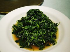 酒香草头-丰收日(五角场店)