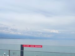 -野菌皇海景野生菌火锅(滨海大道店)