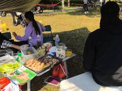 -王借岗森林公园