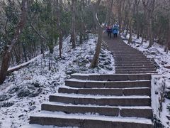 -紫金山山顶公园