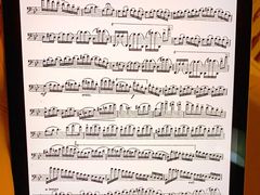 -Apple零售店(济南恒隆广场店)