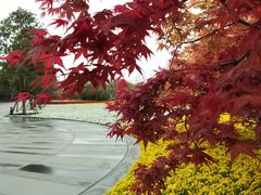 -上海市龙华烈士陵园