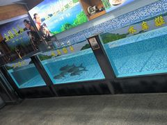 -故乡缘·香格里拉山庄(冷竹路店)