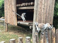 -宁波野生动物园