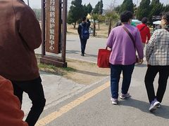 -盐城丹顶鹤湿地生态旅游区
