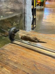 -Zoolung Zoolung动物主题公园(海信广场店)