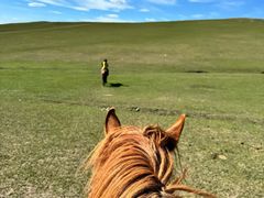 -额尔古纳黑山头绿野马帮骑马场