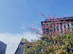 -星巴克(深圳前海企业公馆店)