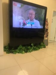 -紫洁俪方（北京）医疗美容