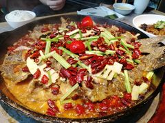 -老板恋上鱼(恒隆广场店)