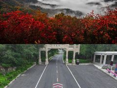 -伏羲山旅游区