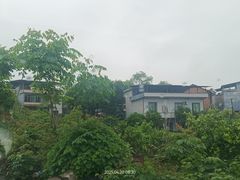 -广州市流溪河国家森林公园