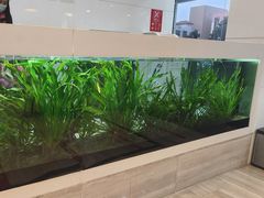 -牙博士口腔品牌连锁(昆山城区店)