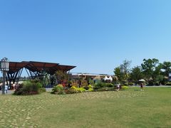 -上海长兴岛郊野公园