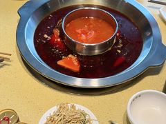 -田鸭肠·非遗火锅(彭州店)