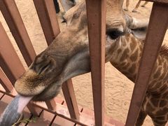 -鄂尔多斯野生动物园