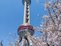 -陆家嘴中心绿地