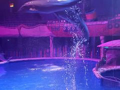 -大连圣亚海洋世界