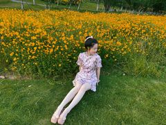 -瑶湖郊野森林公园