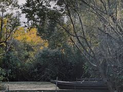 -同里国家湿地公园