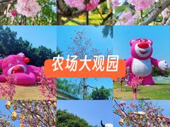 -光明农场大观园
