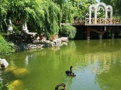 -天毓山庄·餐厅