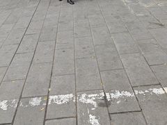 -芙蓉凰花园酒楼