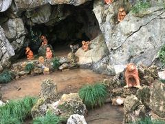 -灵栖洞天