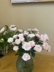 -杭州海亮医院 · 禾芸嘉医美中心