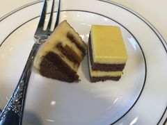 -BLACKSWAN黑天鹅(环球店)