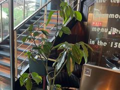 -Lets burger非常汉堡·环球风味(蓝色港湾店)