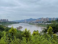 -金海湾滨江公园