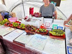 -马陆小张葡萄园农家乐