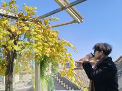 -S.O.E COFFEE(五道营店)