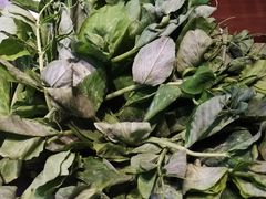 豌豆尖-一叶一世界•素食餐厅(环球中心店)