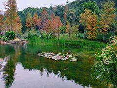 -云溪植物园