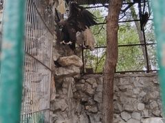-保定市动物园