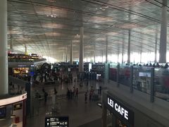 -稻香村(首都国际机场3号航站楼店)