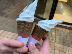 -富豪雪糕车流动点(尖沙咀店)