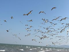 -那香海钻石沙滩浴场