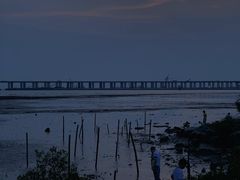 -宝安西湾红树林湿地公园