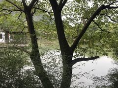 -兰亭风景区