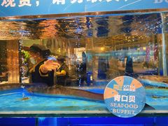 -喜庭海鲜自助(来福士店)