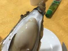 -蚝专家(北滘店)